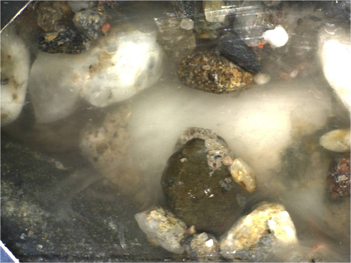 video - biogrout.jpg